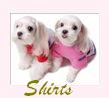 cute shirts for dogs, fancy dog shirts, t shirts for dogs, embroidered dog shirts, sailor shirts, cotton, hooded t shirts for your pampered pooch, warm sweatshirts for dogs, dressy dog shirts, casual shirts, striped, solid, colorful dog shirts, hawaiian dog shirts, vacation, multi-colored , turtleneck, flowered, floral, fancy shirts , cute dog apparel, dressy, everyday, casual shirts, for your pampered puppy! Dog shirts in pink, yellow, blue, brown, navy, red,orange, sailor shirts, checked , baseball tees for dogs, lightweight , heavyweight, embellished, dog tee shirts with logos