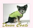Denim Coats for Dogs! Blue denim, dark blue denim, Chic Doggie by Corey Denim Dog Coats, Green Denim , Pink Denim, Spring Denim Dog Coats, Warm Denim Dog Coats,  Fancy Denim Coats! 